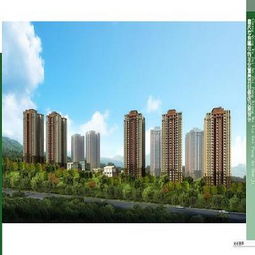 重慶市房地產(chǎn)開發(fā)網(wǎng)項(xiàng)目詳情查看 智慧與規(guī)范并行的時(shí)代